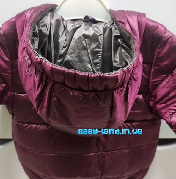 Демисезонная курточка на девочку 3735215243183 фото