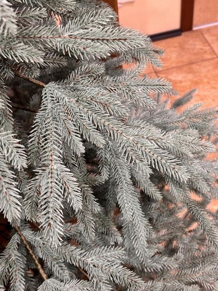 Ялинка "Альпійська" Блакитна Y5 Blakytna 1.5 m фото