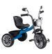 Велосипед трехколесный TILLY BUZZ T-325 Blue T-325 Blue фото