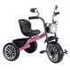 Велосипед трехколесный TILLY BUZZ T-325 Pink T-325 Pink фото
