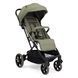 Прогулочная коляска Chicco Dolomiti Meadow 87163.52 фото