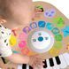 Игровой центр Baby Einstein Magic Touch 12398 фото 9