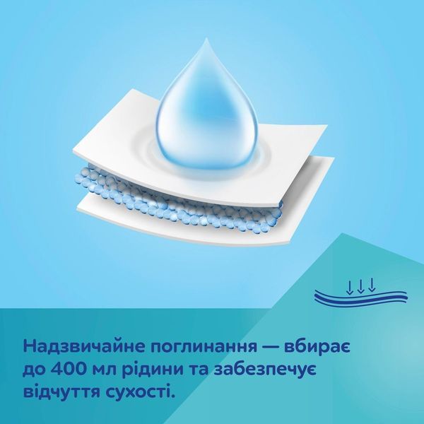 русы одноразовые послеродовые Canpol Babies дышащие и ультрапоглощающие, размер L/XL, 5 шт. 78/012 фото