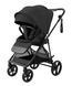 Прогулянкова коляска CARRELLO Extra CRL-5532 Forest Black CRL-5532 Forest Black фото