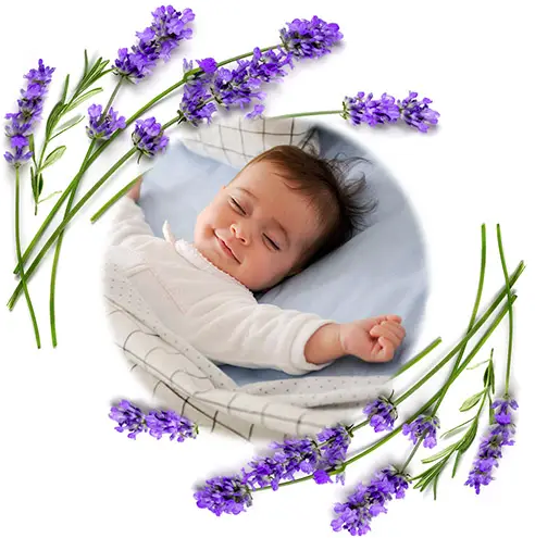 Грілочка з кісточок вишні та ароматом лаванди (13х16 см.) Сірий "Babyono"  796/02 фото
