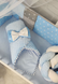 Набор в кроватку Косичка Минки плюш в полной комплектации Голубой Kosichka Minki Plush Goluboi фото