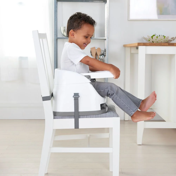 Сидение-бустер 2 в 1 Ingenuity Baby Base 10678 фото