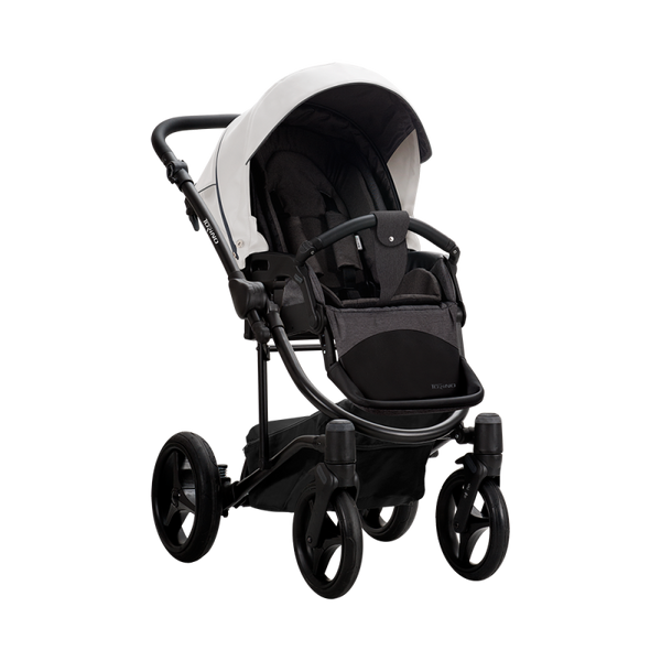 Коляска TM "Bebetto" TORINO 503.26.19.B01 фото