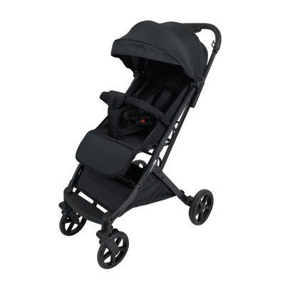 Коляска для ребенка прогулочная FreeON Tao Black Tao Black фото