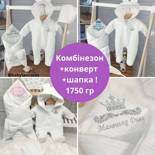 Теплый комплект на выписку Комбинезон+конверт+шапка Teplyy komplekt na vypisku фото