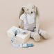 Силиконовая симметричная пустышка 6-18м. Bonjour ParisTeddy bear with glasses 22/648_blu_Teddy bear with glasses фото 4