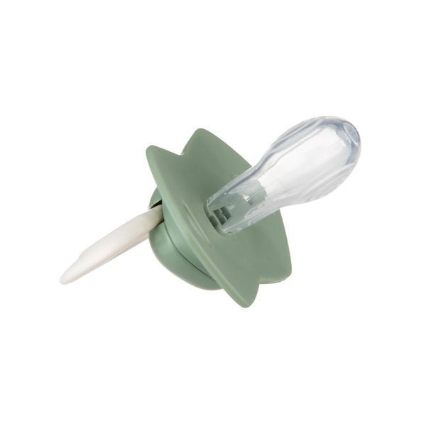 Пустышка симметричная Canpol babies Goose 6-18 мес. Зеленая 22/668_green фото