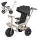 Велосипед триколісний TILLY FLASH T-3812 BLACK T-3812 BLACK фото