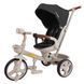 Велосипед трехколесный TILLY FLASH T-3812 DARK GREY  T-3812 DARK GREY  фото