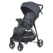 Коляска дитяча M 4249-2 Gray Matt M 4249-2 Gray Matt фото