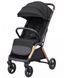 Коляска прогулочная Carrello Cross CRL-5523 ​​Raven Black CRL-5523 Raven Black фото 1
