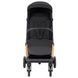 Коляска прогулочная Carrello Cross CRL-5523 ​​Raven Black CRL-5523 Raven Black фото 5
