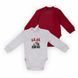 Комплект дитячих боді для хлопчика GABBI BD-24-6 (2 шт.) демісезонний 13931 фото