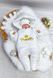 Демисезонный комбинезон Princess Белый kombinezon Princess Bilyy 0-3 фото